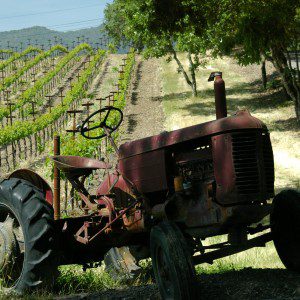 Old Tractor in a vineyard in Sonoma Wine Country