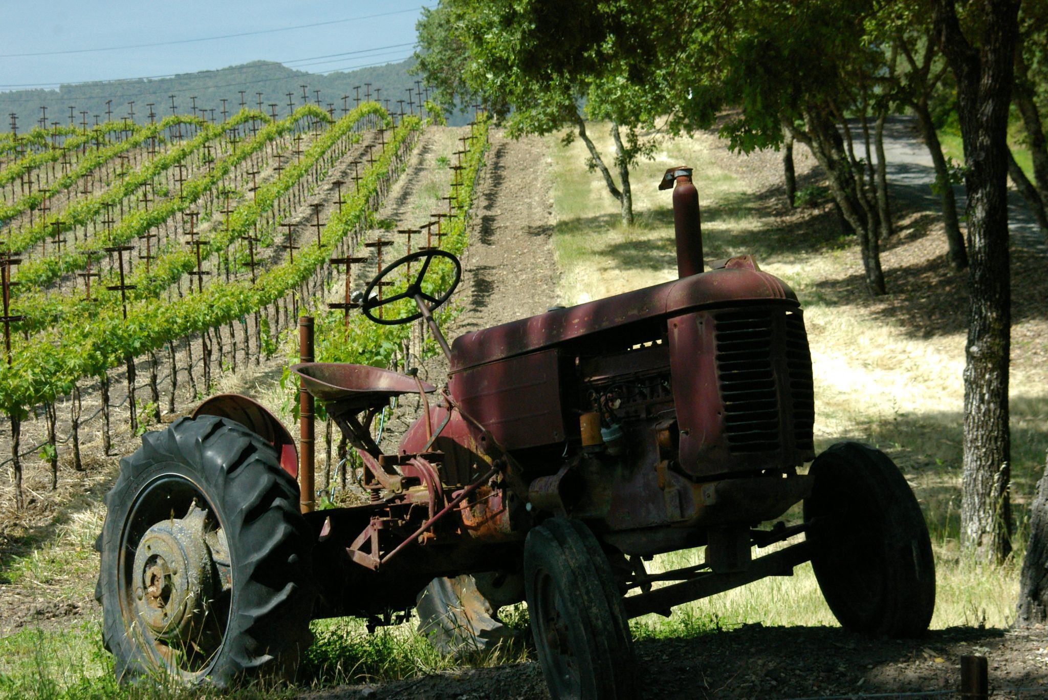 Old Tractor in a vineyard in Sonoma Wine Country