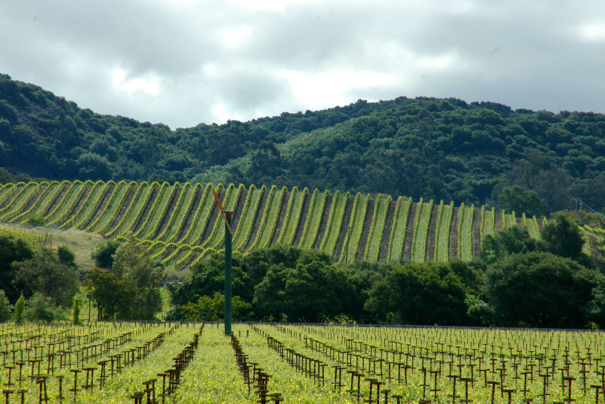 hiking tours in california