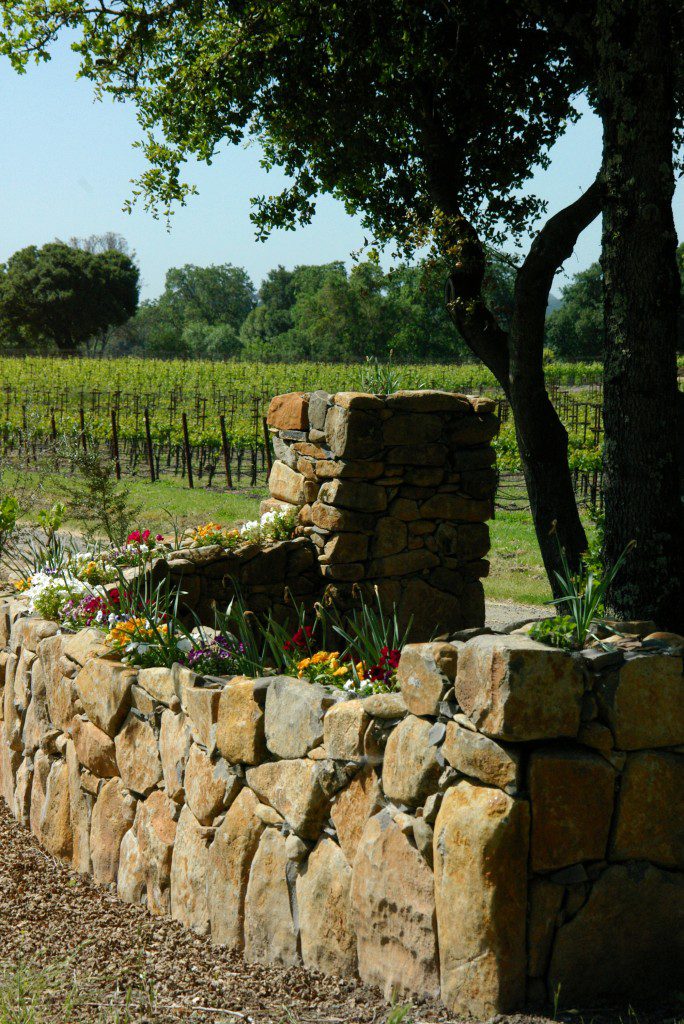 Napa & Sonoma Wine Country Wine Country Trekking