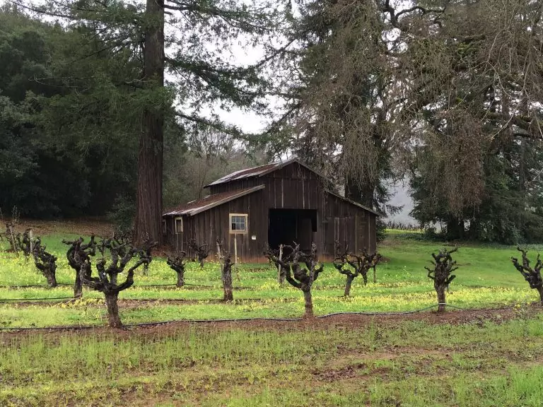 Bodega Bay to Healdsburg