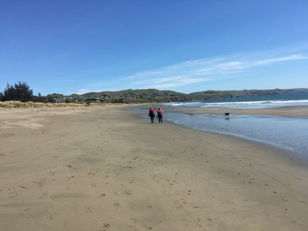 Doran Beach in Bodega Bay