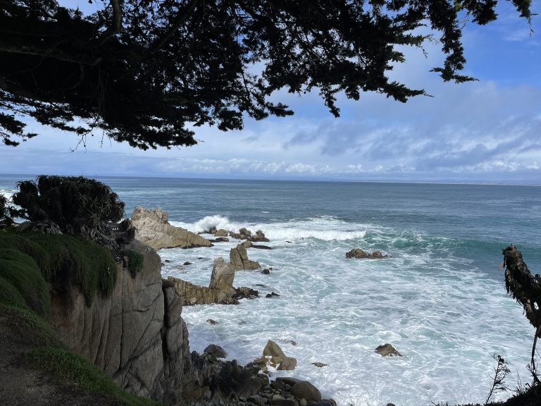 Monterey Bay: Santa Cruz to Carmel Trek