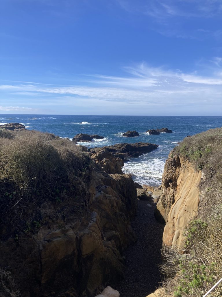 Monterey Bay: Santa Cruz to Carmel Trek